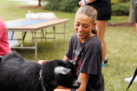 Goat Yoga 1023 BS-199
