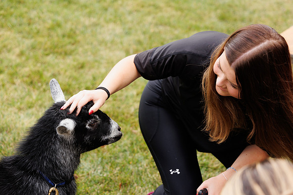Goat Yoga 1023 BS-0240
