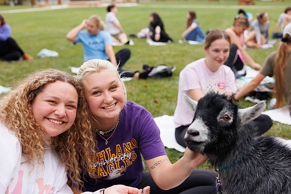 Goat Yoga 1023 BS-0254