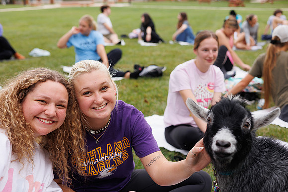 Goat Yoga 1023 BS-0255