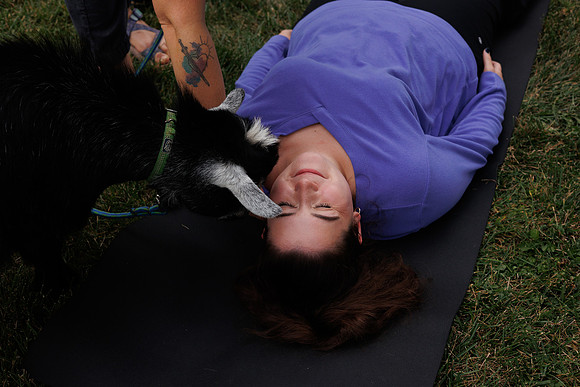 Goat Yoga 1023 BS-0332