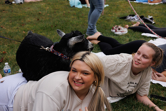 Goat Yoga 1023 BS-0387