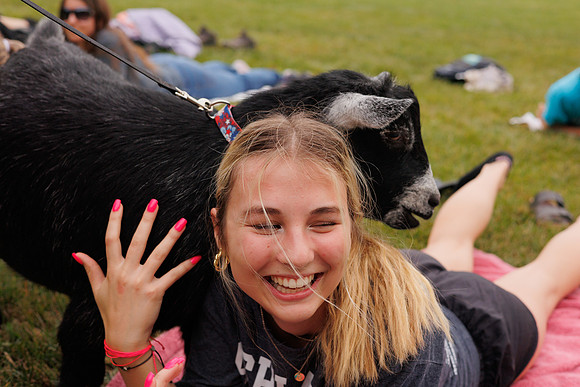 Goat Yoga 1023 BS-0470