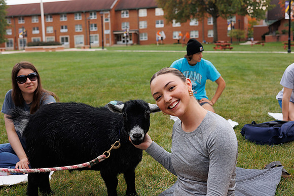 Goat Yoga 1023 BS-0633