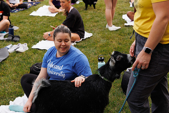 Goat Yoga 1023 BS-29768