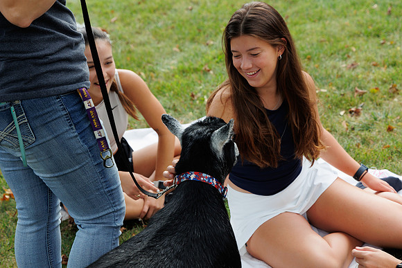 Goat Yoga 1023 BS-9999