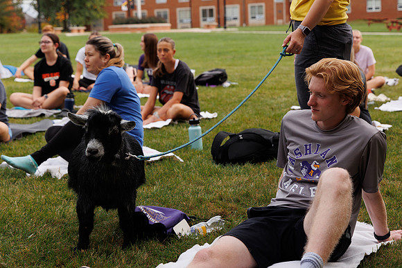 Goat Yoga 1023 BS-29790