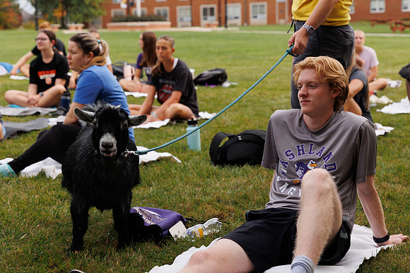 Goat Yoga 1023 BS-29794