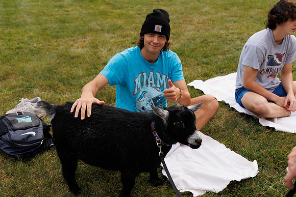 Goat Yoga 1023 BS-29841
