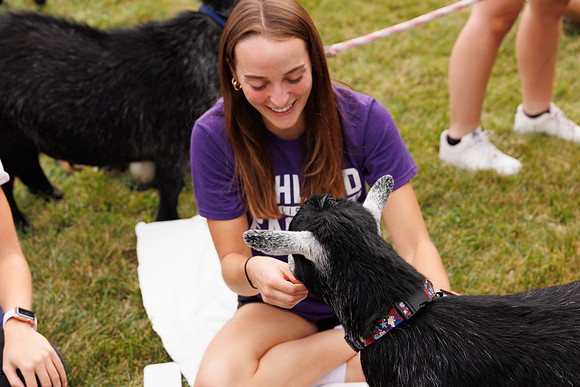 Goat Yoga 1023 BS-30011