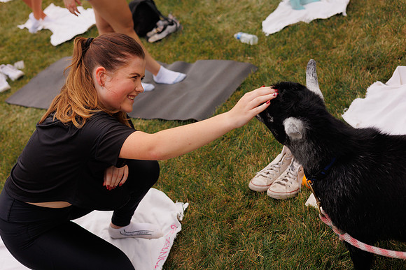 Goat Yoga 1023 BS-31009