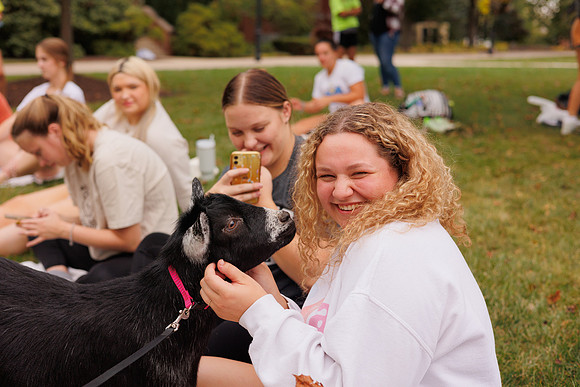 Goat Yoga 1023 BS-31088