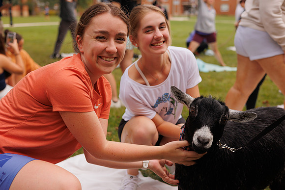 Goat Yoga 1023 BS-31045