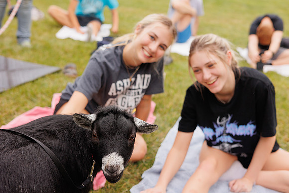 Goat Yoga 1023 BS-31210