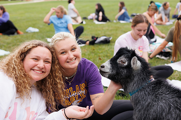 Goat Yoga 1023 BS-31250
