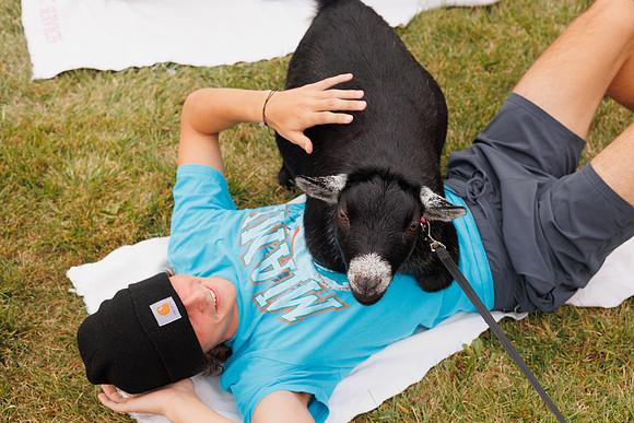 Goat Yoga 1023 BS-31308