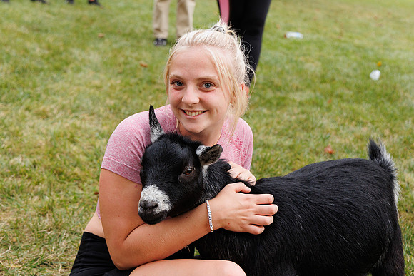Goat Yoga 1023 BS-31685
