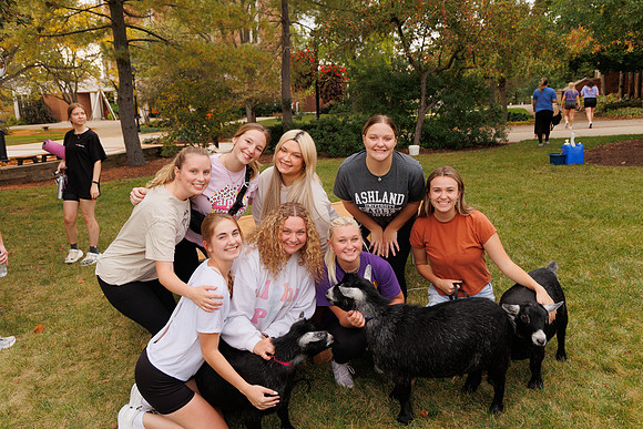 Goat Yoga 1023 BS-31669