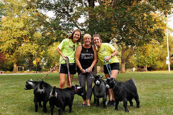 Goat Yoga 1023 BS-31867