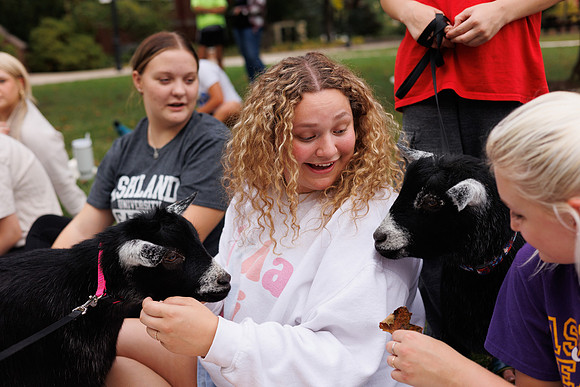 Goat Yoga 1023 BS-0114
