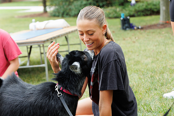 Goat Yoga 1023 BS-182