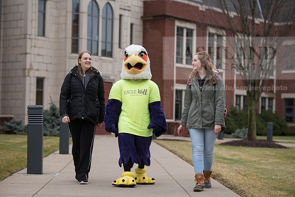 Tuffy - Campus Wellness Program