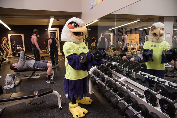 Tuffy - Campus Wellness Program