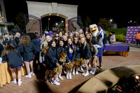 ParadeOfPurple1021ALW_6578
