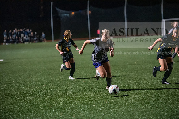 AUvMITechWSoccerDIIRegionals1123ALW_6278