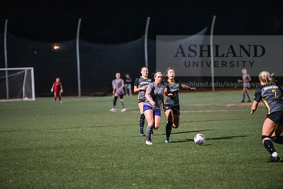 AUvMITechWSoccerDIIRegionals1123ALW_6456