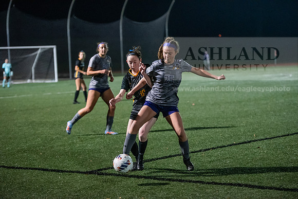 AUvMITechWSoccerDIIRegionals1123ALW_6699