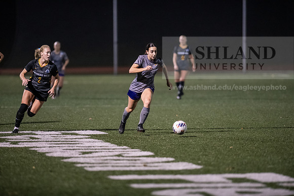 AUvMITechWSoccerDIIRegionals1123AWB_0045