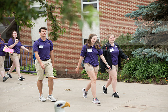 Orientation Number 2