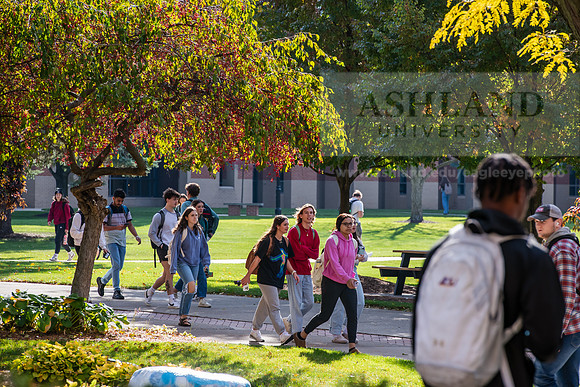 FallCampusLife1024AWB_5486