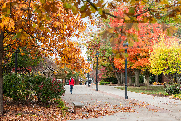 FallCampusLife1024AWB_8897