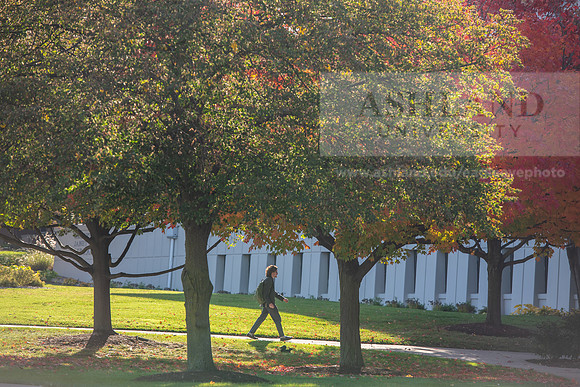 FallCampusLife1024AWB_5030