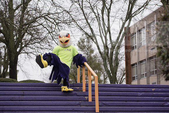 Tuffy - Campus Wellness Program