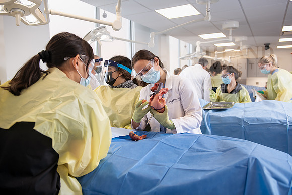 PAProgramCadaverLab1221ALW_4128