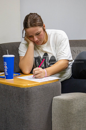 StressFreeColoring112323MC_5482