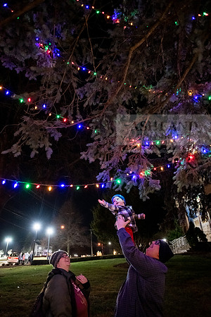 ChristmasDecorations1224AWB_5267