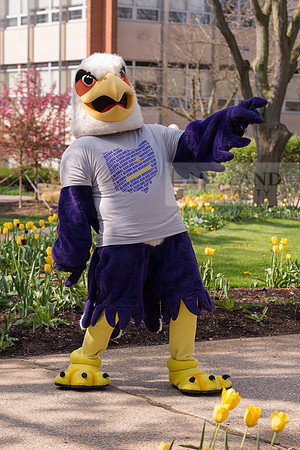 Tuffy0416ALW_1112