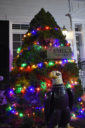 CampusHolidayPhotos1123SG_0237