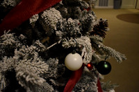 CampusHolidayPhotos1123SG_0217