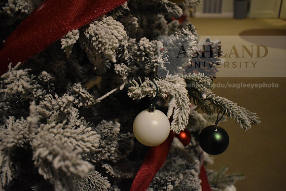 CampusHolidayPhotos1123SG_0217