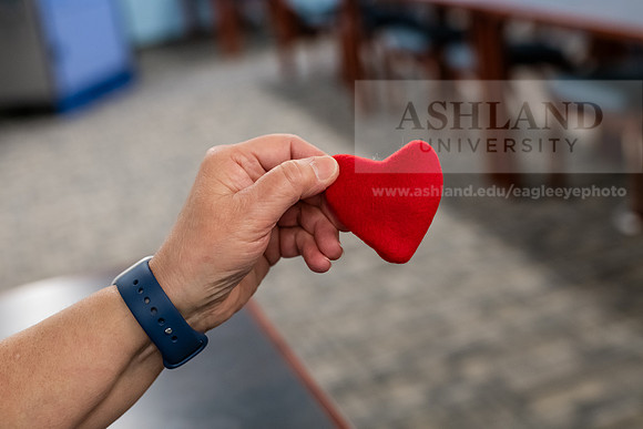 ScharCONHS_PA_HealersArt0325AWB_9723