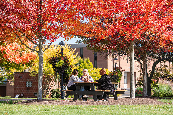 FallCampusLife1024AWB_5912