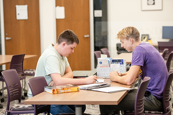HCLCTutoringSession1024AWB_8095