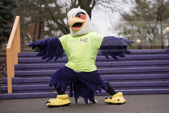 Tuffy - Campus Wellness Program