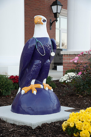 Schar College of Nursing