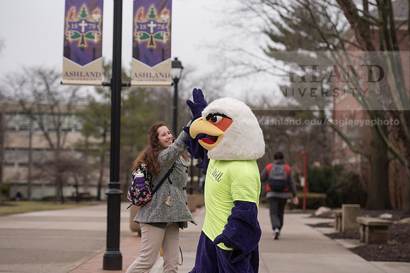 Tuffy - Campus Wellness Program